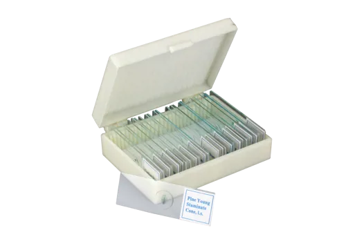 Komplet mikroskopskih preparatov, botanika, 25 različnih (078853)