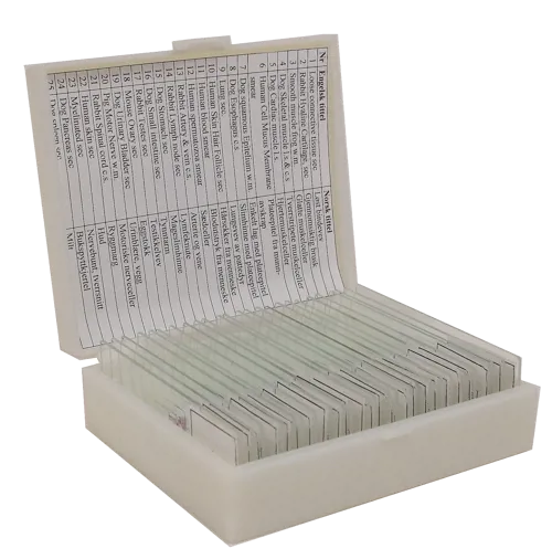 Komplet mikroskopskih preparatov, histologija, 25 preparatov (078854)