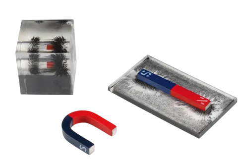 Magnetno polje, demonstracijski komplet (339610)